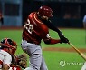 PUERTO RICO BASEBALL