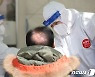 경남 25명 추가 확진..대부분 가족·지인·직장동료 간 전파(종합)