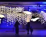 [Eye Plus] Sea of light