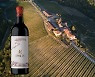 하이트진로, 마쩨이 최상급 와인 '입수스' 국내 첫 판매