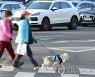 국내 첫 반려동물 코로나 감염..당국 "동물->인간 전파는 확인 안돼"