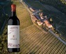 하이트진로,이탈리아 마쩨이 최상급 와인 '입수스' 출시