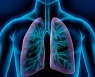 숨 쉬기 힘든 요즘, 폐활량 늘리려면?