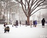 [포토친구] 야 하얀 눈이 온다