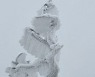 겨울이 만든 아름다운 눈조각