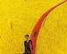장욱진은 꿈꿨다, 가족과 자연 속 평화로운 일상을