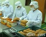영월군, '대한민국 장류1번지' 브랜드 강화에 두팔 걷었다