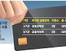 금감원에 파견나간 팀원에 '법카' 쥐어준 민간기관