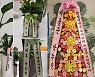 "사양한다고 해도" 배용준♥박수진→유재석 화환 선물에 김영삼 "영광입니다"