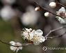 쉿! 식사 중
