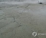 한파와 봄기운