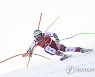AUSTRIA ALPINE SKIING WORLD CUP