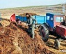 '퇴비전투' 나선 북한 협동농장..올해 농사 준비 박차