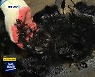 [바로간다] 강남 한복판에 검은 기름 '둥둥'.."전설의 폐기름"?