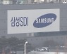 세달만에 80% 오른 삼성SDI..'테슬라 효과' 본격화? [박해린의 뉴스&마켓]