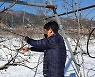가평군, 과수 동해 조기판별 현장기술지원 추진
