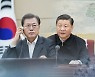 文대통령·시진핑 주석, 8개월만에 통화..방한 등 논의