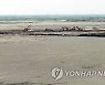 새만금 배후 마을 비산 모래 막을 3km 길이 '해안 방재숲' 조성