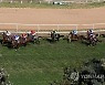 INDIA HORSE RACING