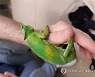 AUSTRIA CRIME WILDLIFE SMUGGLING
