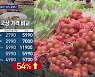 떡·달걀·대파 값 50% '껑충'..입 벌어지는 떡국 재료비