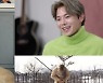 박은석, '반려견 파양' 논란 결국 사과.."잘못된 일 맞다"