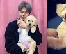 박은석, 파양논란 해명 "지인·친척에게 입양보냈다" [전문]