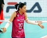 V-리그 흔드는 로컬룰 논란.."도입시 신중 기해야"
