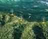 비디아이, 국내 최대 풍력발전단지 개발 허가 절차 돌입