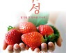 [곡성소식]특산품 딸기, 베트남 시장 진출 등