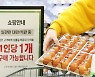 무관세에도 대형마트에서 수입달걀 찾아보기 어려운 이유는?