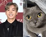 박은석 고양이 現 집사 등장 "'파양' 단어 아파..잘 크고 있다"[전문]