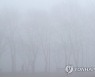 강원 출근길 짙은 안개..'교통안전 유의'