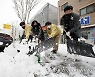 광주시, 공직자 눈 치우기 활동 참여 체계 마련