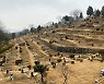 구리시 '설 연휴 시립묘지 폐쇄' 행정명령