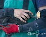 SOUTH AFRICA PHOTO SET CAPE CORMORANT REHABILITATION