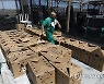 SOUTH AFRICA PHOTO SET CAPE CORMORANT REHABILITATION