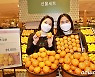 감귤의 끝판왕 '롯데백화점 X 불로초 감귤 더 블랙' 콜라보 출시