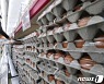 정부, 계란 가격 안정 위해 비축 물량 판매 시작