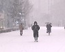 [취재N팩트] 대설에 이어 강풍, 한파까지..급변하는 날씨