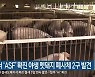 춘천서 'ASF' 확진 야생 멧돼지 폐사체 2구 발견