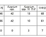 백내장 수술 후 안내염 발생 93% '유니알주' 사용..결국 허가 취소