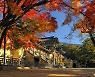 경주 불국사·석굴암·대릉원 일대, '한국관광 100선' 선정
