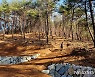 의령군산림조합, 응봉산 선도산림경영단지 명품 숲 추진