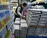 AI 확산으로 수입 계란 시중 유통