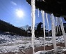 경기도 26개 시·군에 '한파주의보'..찬바람에 체감온도 '뚝'
