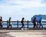 코로나19 여파 제주 관광객이 쓴돈 12% 줄었다