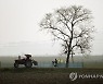 INDIA DAILY LIFE