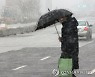 쏟아지는 눈