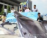 검찰, '고래고기 환부사건' 피고발 검사·변호사 무혐의 종결